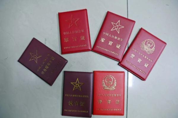 19816811手机登陆